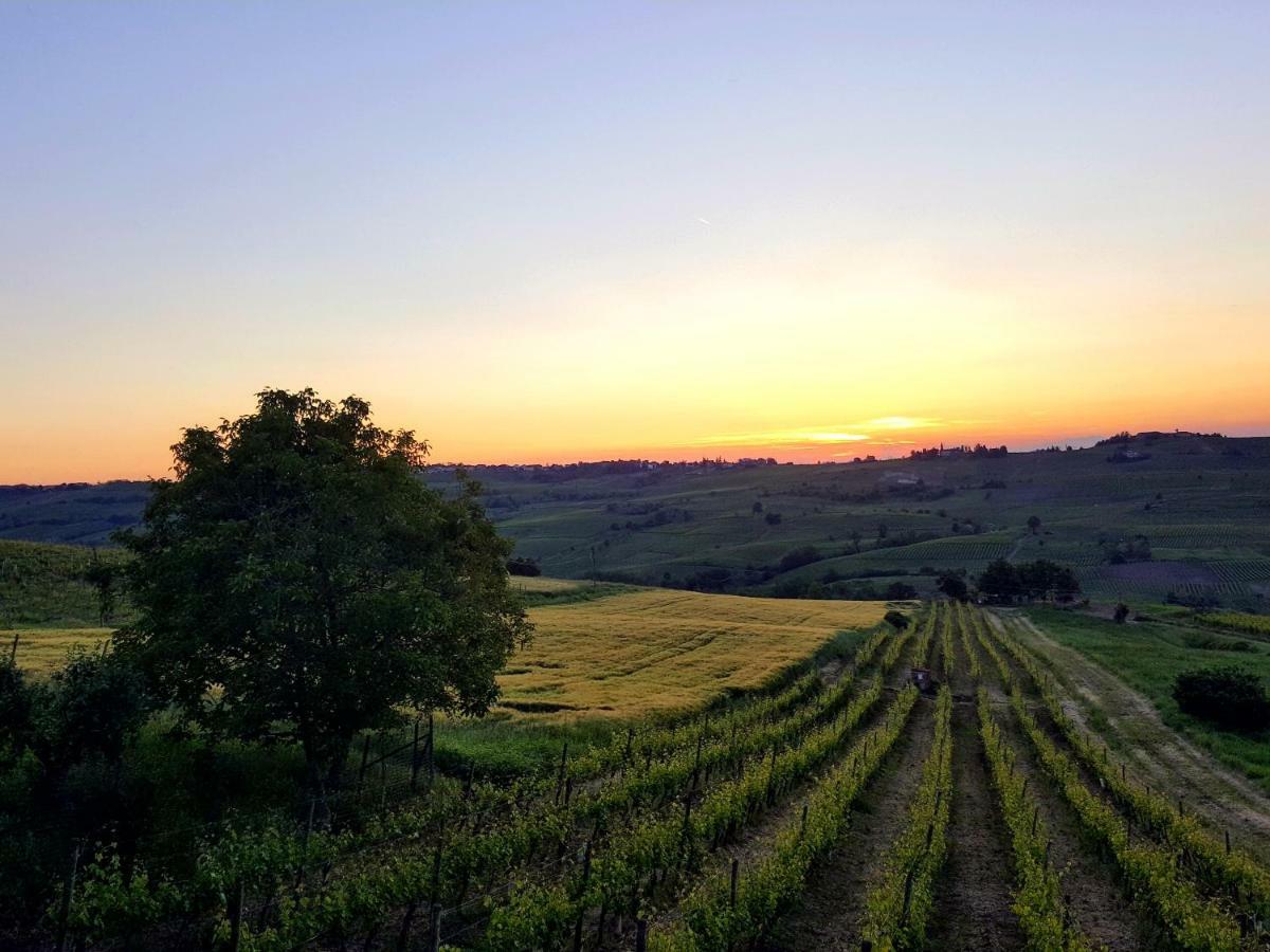 La Terrazza Sui Vigneti-Rovescala Bed & Breakfast San Damiano al Colle ภายนอก รูปภาพ